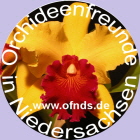 logo_ofn140